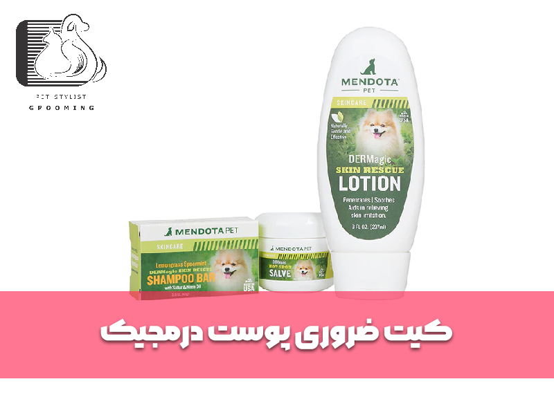 کیت ضروری پوست درمجیک